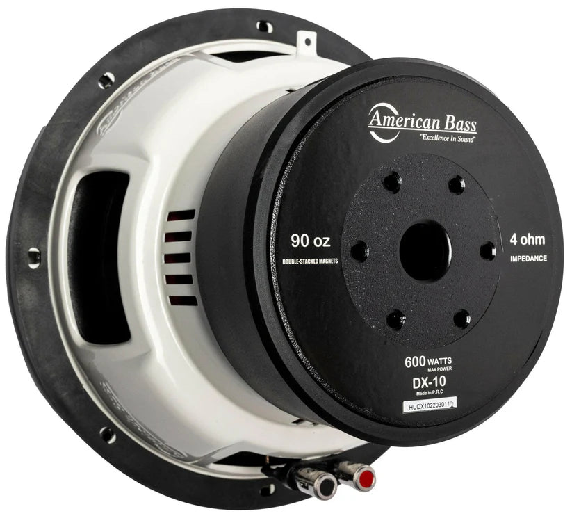 DX 10" Subwoofer