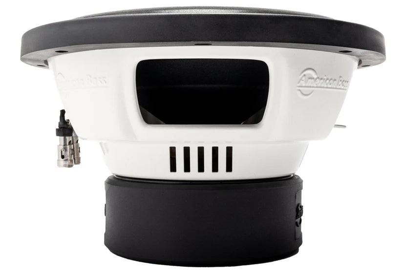 DX 10" Subwoofer