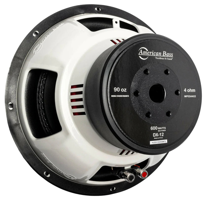 DX 12" Subwoofer